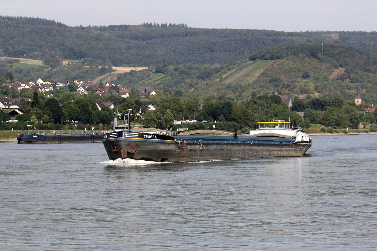 GMS THALIA (ENI:02328065) L.110m B.11,40m To 3110 am 19.07.2020 auf dem Rhein in Braubach zu Berg.