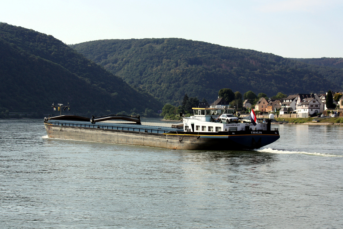 GMS THALIA (ENI:02328065) L.110m B.11,45m To 3110 am 19.07.2020 auf dem Rhein in Braubach zu Berg.