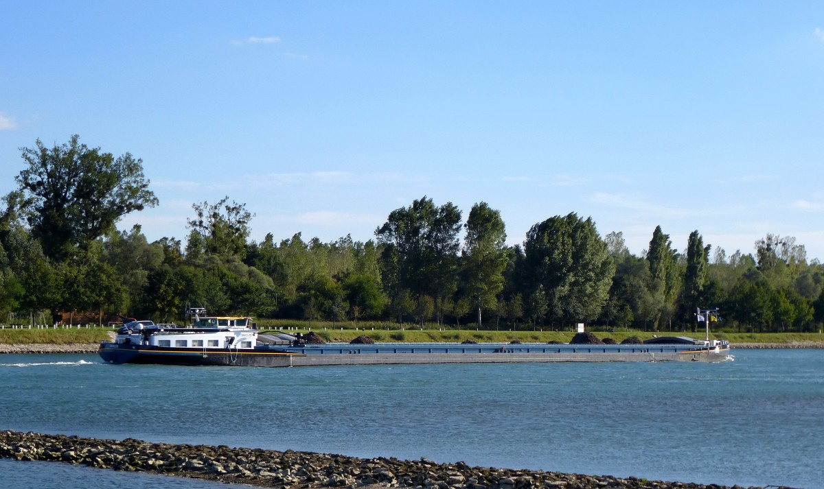 GMS  Thalia , Niederlande, Baujahr 1990, Tonnage 3110t, L=110m, bei Plittersdorf rheinaufwrts, Sept.2015