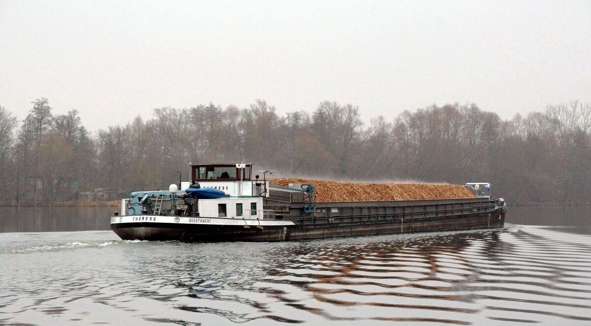 GMS  THERESE  (04601650 , 80 x 8,20m) am 11.01.2022 auf der  HAVEL  bei Brandenburg zu Berg nach Berlin. 