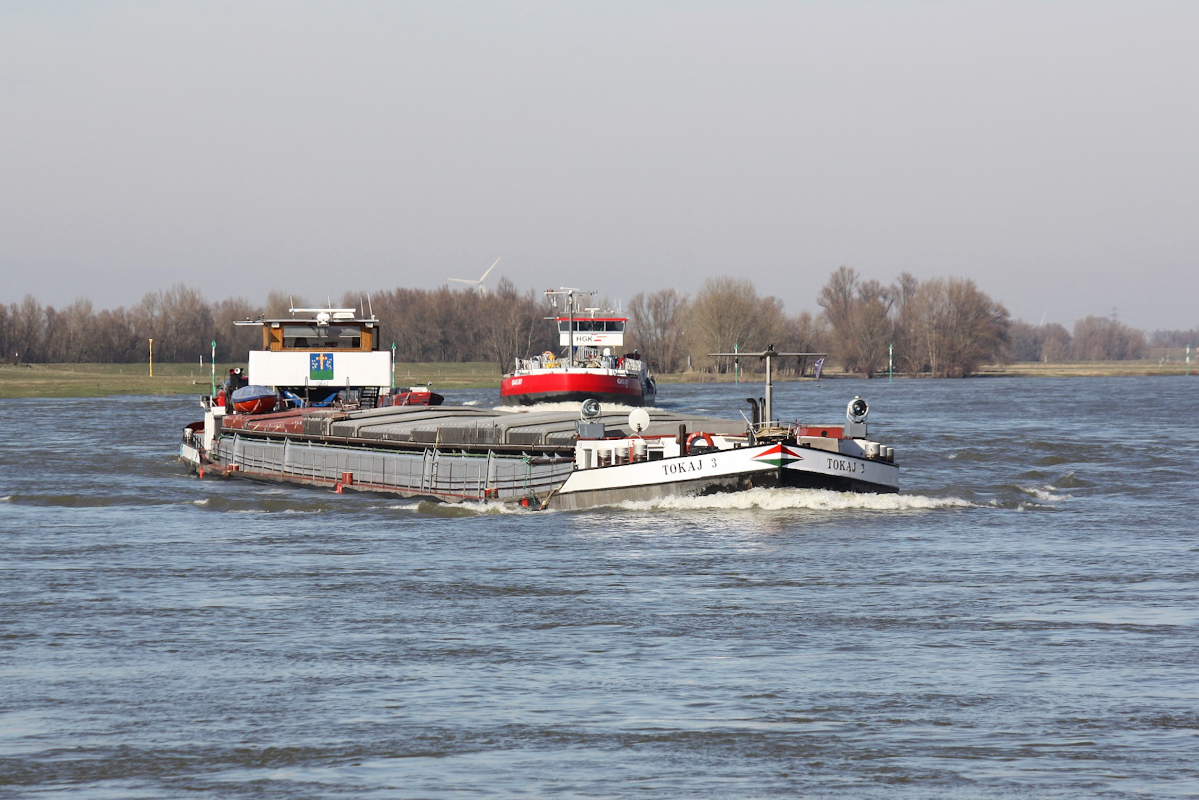 GMS TOKAJ 3 (ENI:04601000) L.110 m B.9,50 m T 1941 Baujahr 1928 Flagge Ungarn auf dem Rhein zu Berg am 28.02.2022 in Xanten.