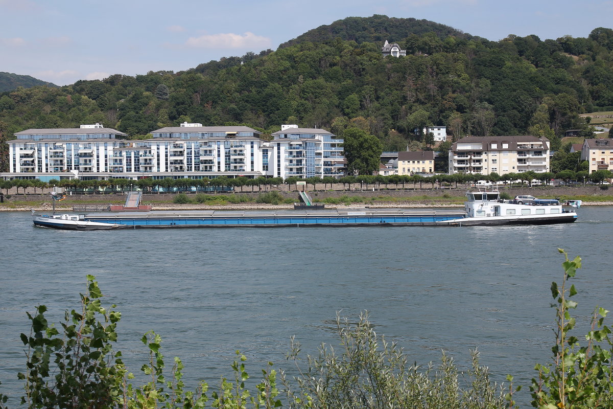 GMS TRANSIENT, ENI 02325427, Haastrecht/NL. Auf dem Rhein vor Königswinter auf Talfahrt am 22.07.2020.