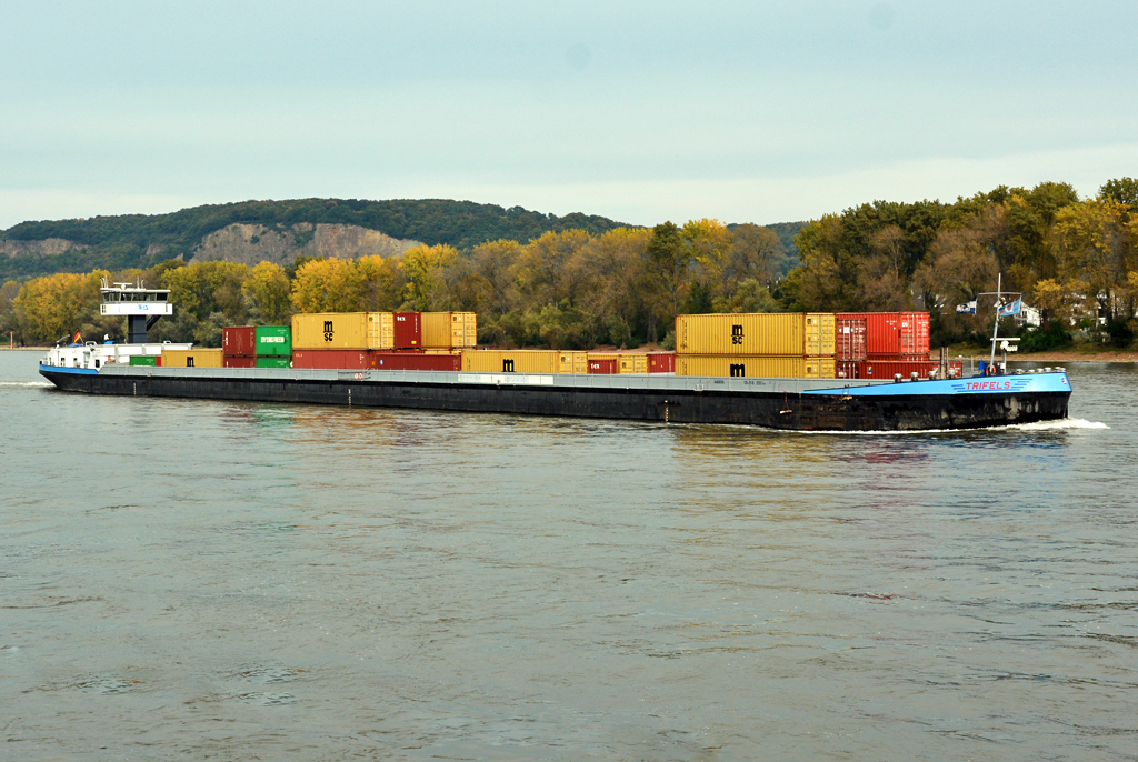 GMS  Trifels  auf dem Rhein bei Bonn-Mehlem - 12.10.2014