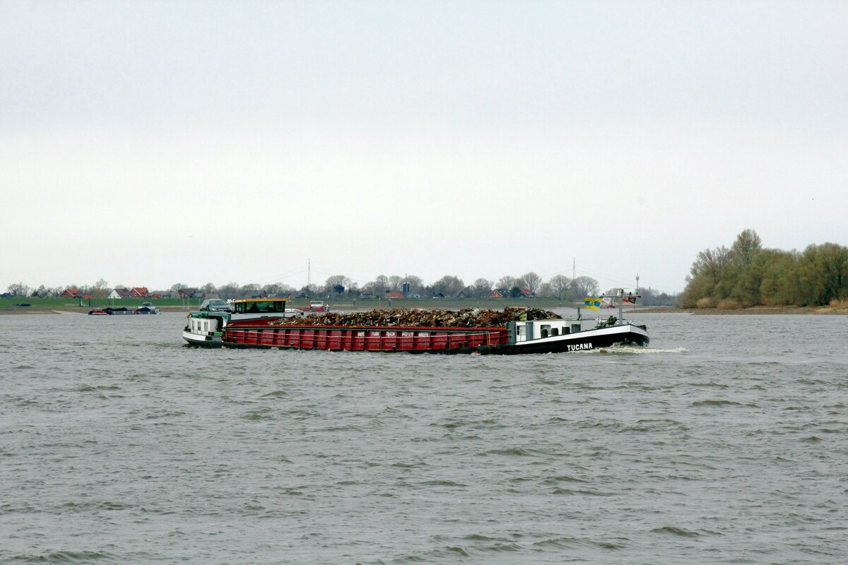 GMS  TUCANA  (04603150 , 79 x 9,5m) am 31.03.2022 auf  ELBE-Bergfahrt Höhe Hoopte / km 599. 