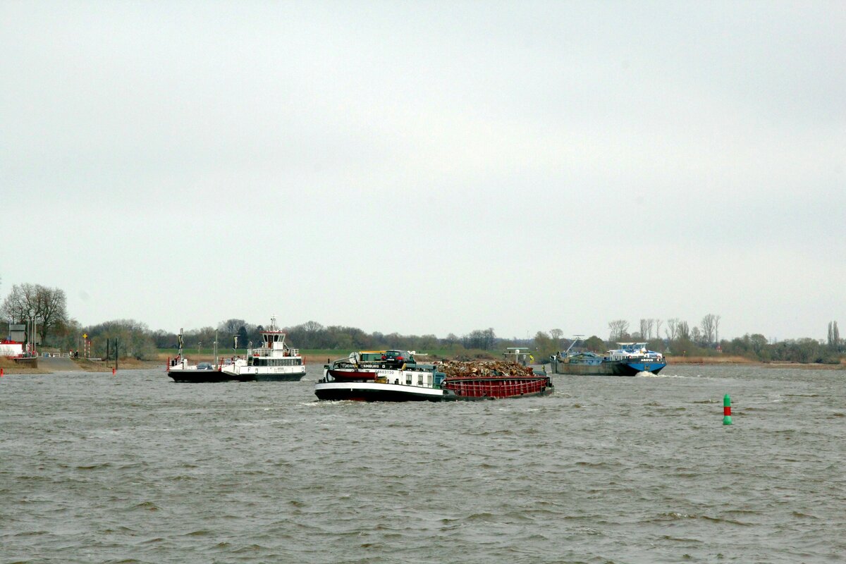 GMS  TUCANA  (04603150 , 79 x 9,5m)  am 31.03.2022  auf  ELBE-Bergfahrt Höhe Hoopte / Zollenspieker. Fähre Hoopter Möwe 2 war auf Talfahrt nach Niedersachsen.