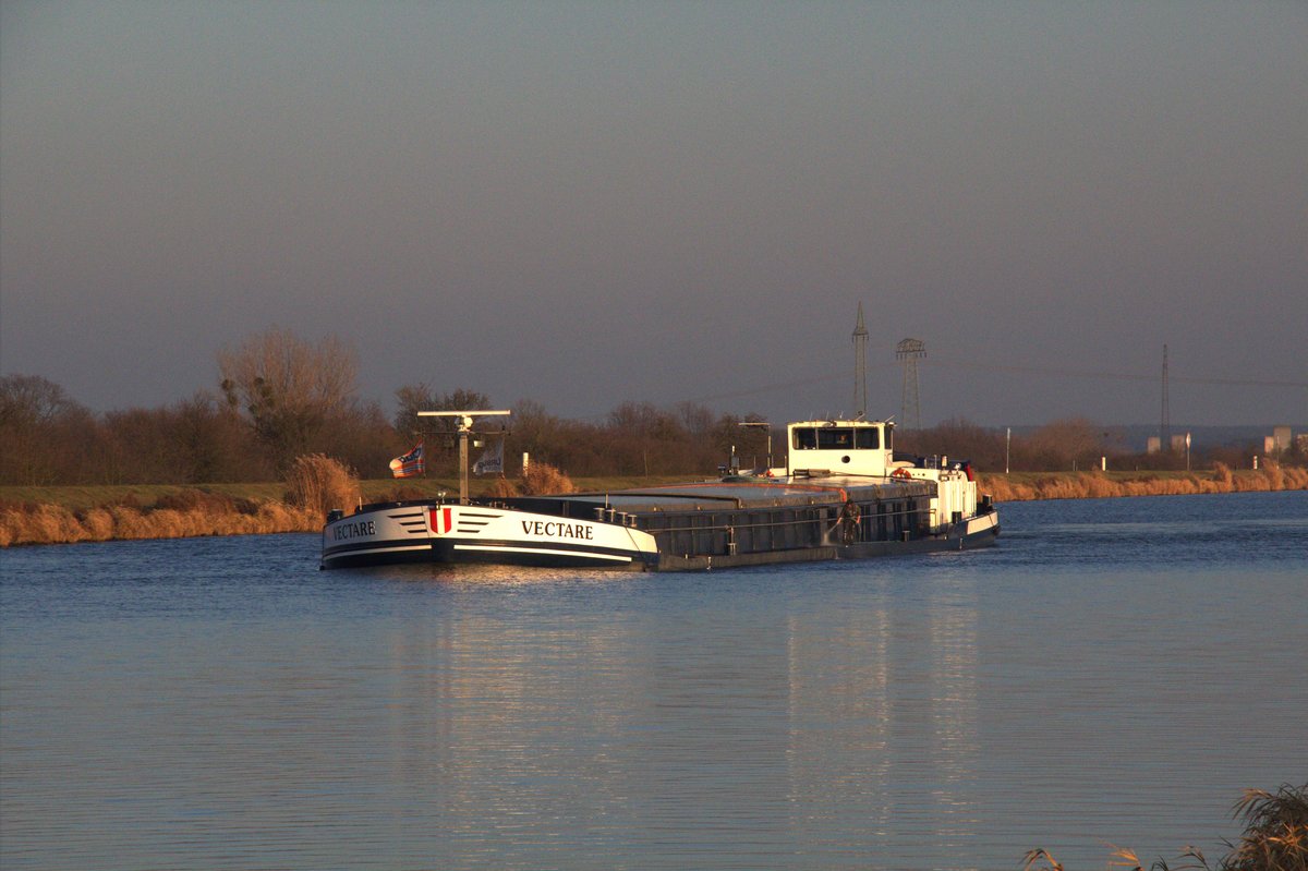 GMS Vectare (02318852 , 85 x 9m) am 17.01.2020 , aus dem Rothenseer Verbindungskanal kommend , im Mittellandkanal auf Talfahrt.