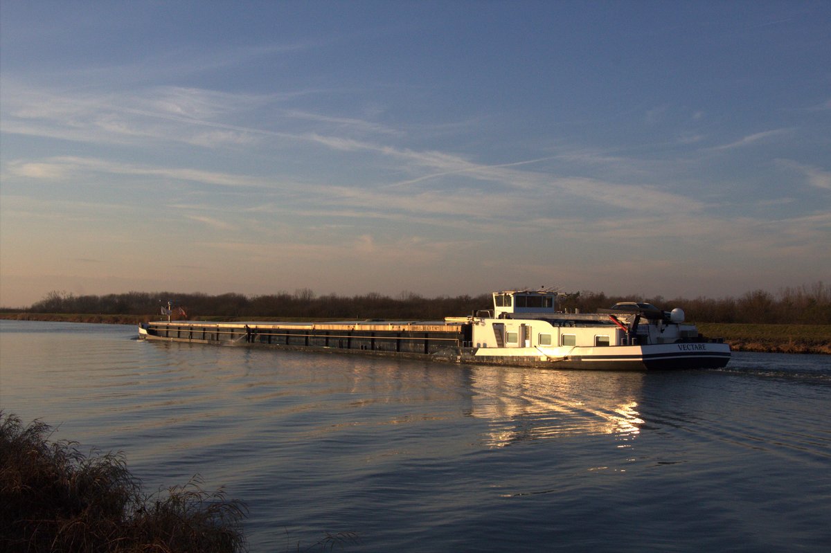 GMS Vectare (02318852 , 85 x 9m) am 17.01.2020 im Mittellandkanal Höhe Barleber Seen auf Talfahrt.