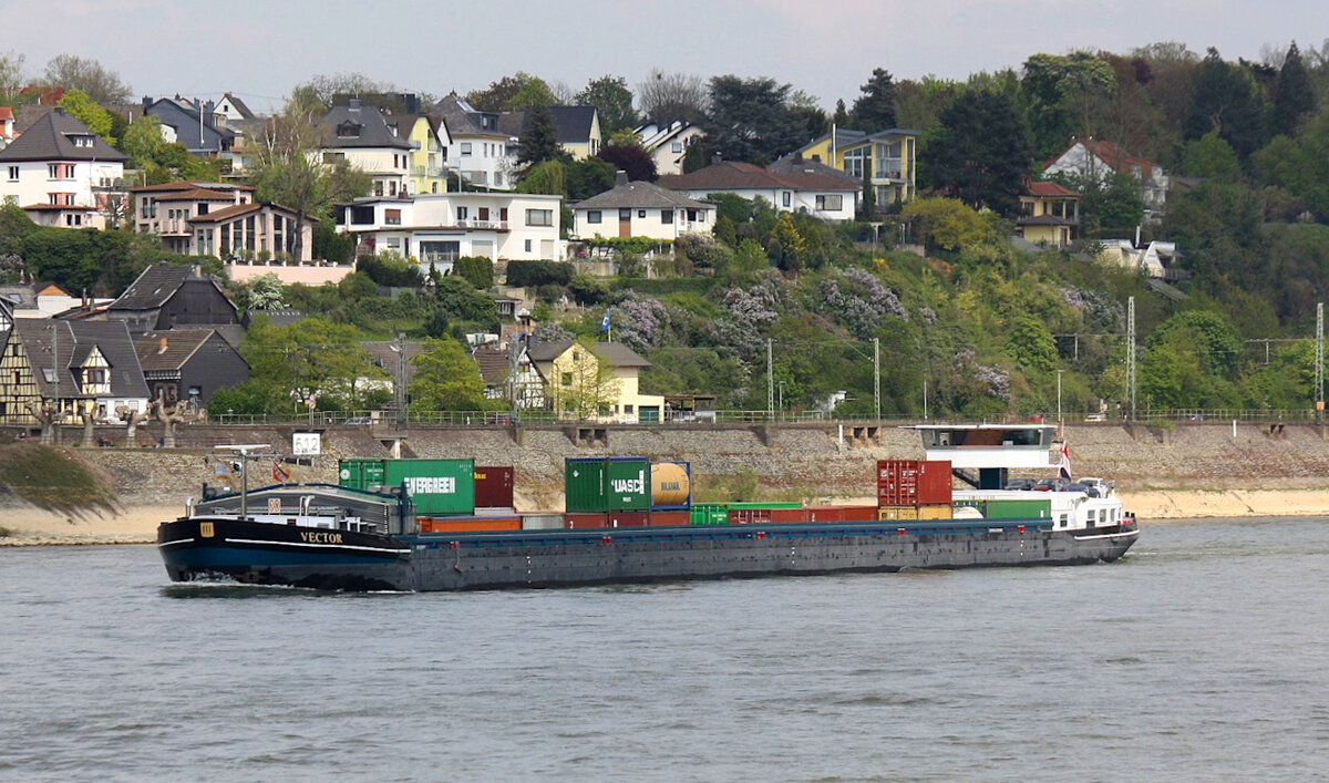 GMS VECTOR (ENI:02331015) L.135 m B.11,45 m  T 4201 TEU 268 Flagge Niederlande auf dem Mittelrhein am 22.04.2022 in Andernach.