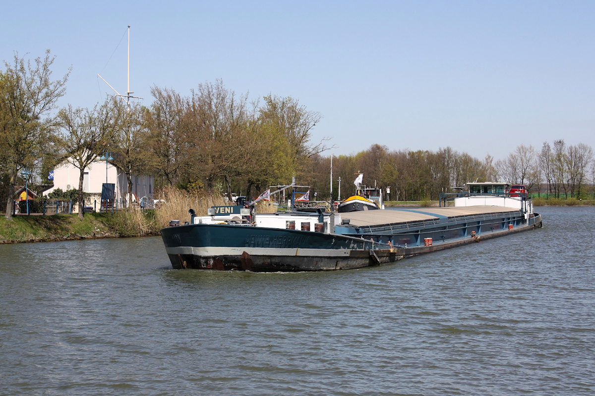 GMS VENI (ENI:06002565) L.86 m B.8,20 m T 1149 Baujahr 1959 Flagge Belgien auf dem DEK zu Berg am 19.04.2023 am Dattelner Meer.