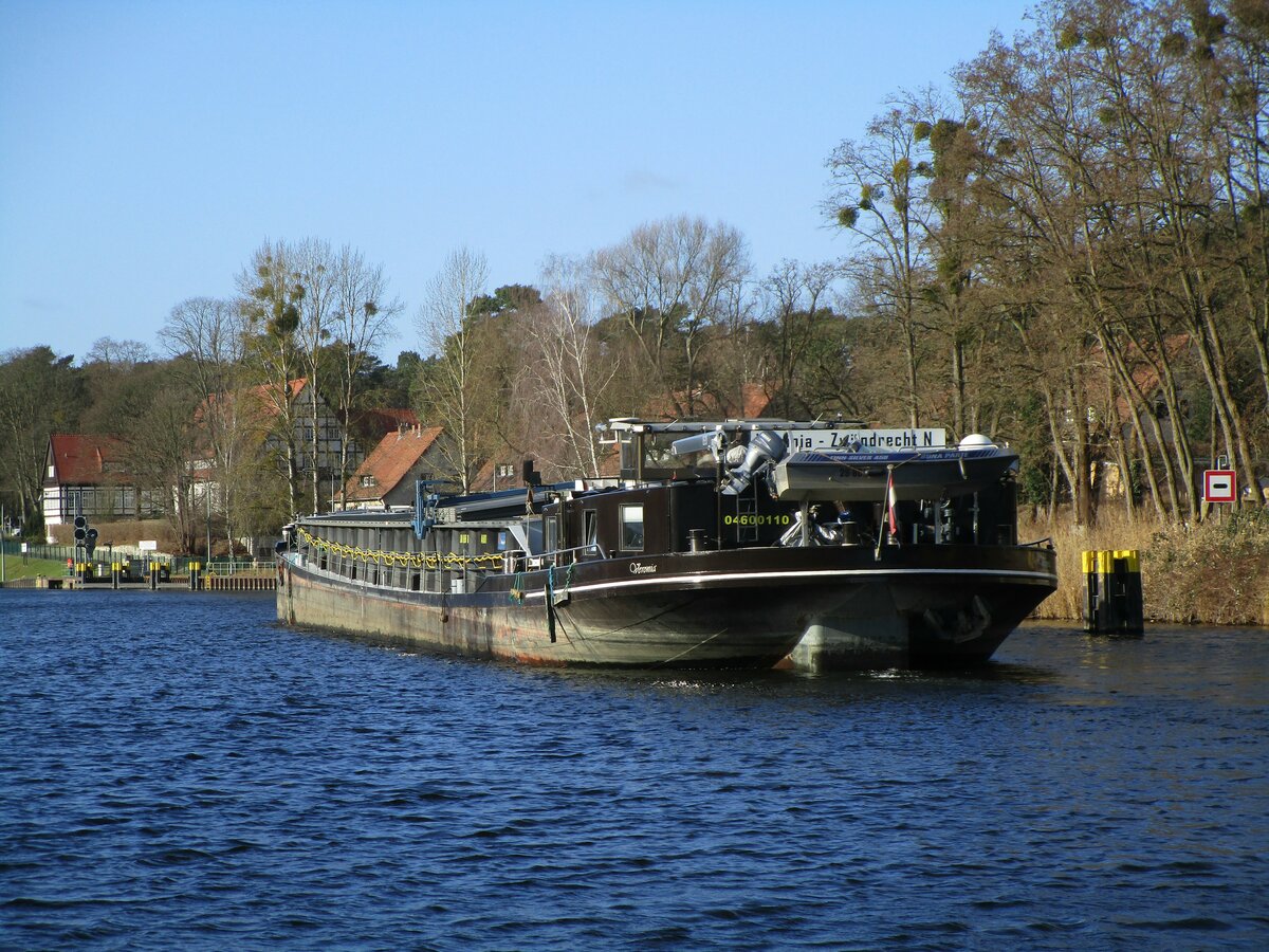 GMS  VERONIA  (04600110 , 80 x 9,50m) am 28.01.2022 im  TELTOWKANAL  kurz vor der Einfahrt in die Nordkammer der Schleuse Kleinmachnow zu Tal.