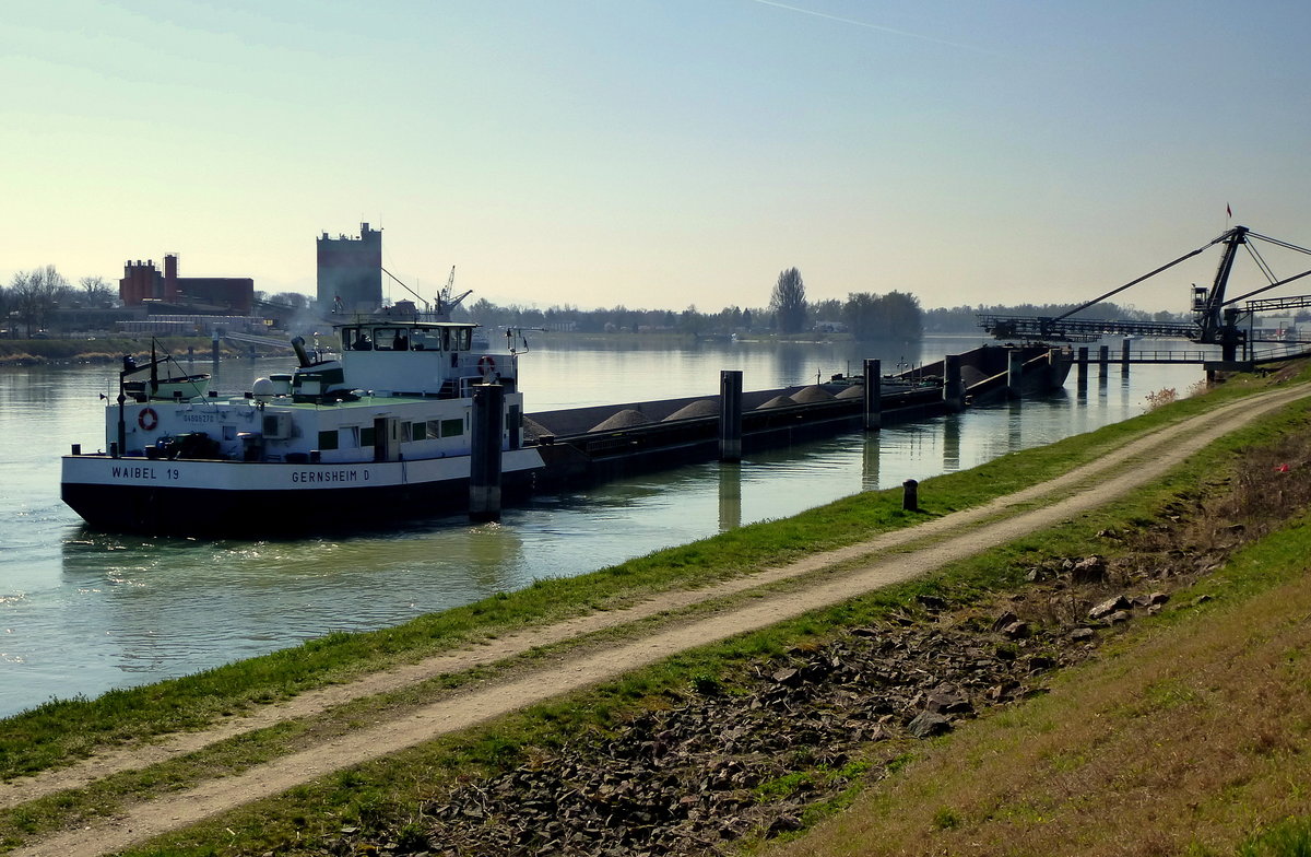 GMS  Waibel 19 , beim Beladen im Rheinhafen Neu-Breisach (Neuf-Brisach), 2912T, L=105m, 1610PS, Baujahr 1981, Heimathafen Gernsheim/Rhein, Mrz 2017