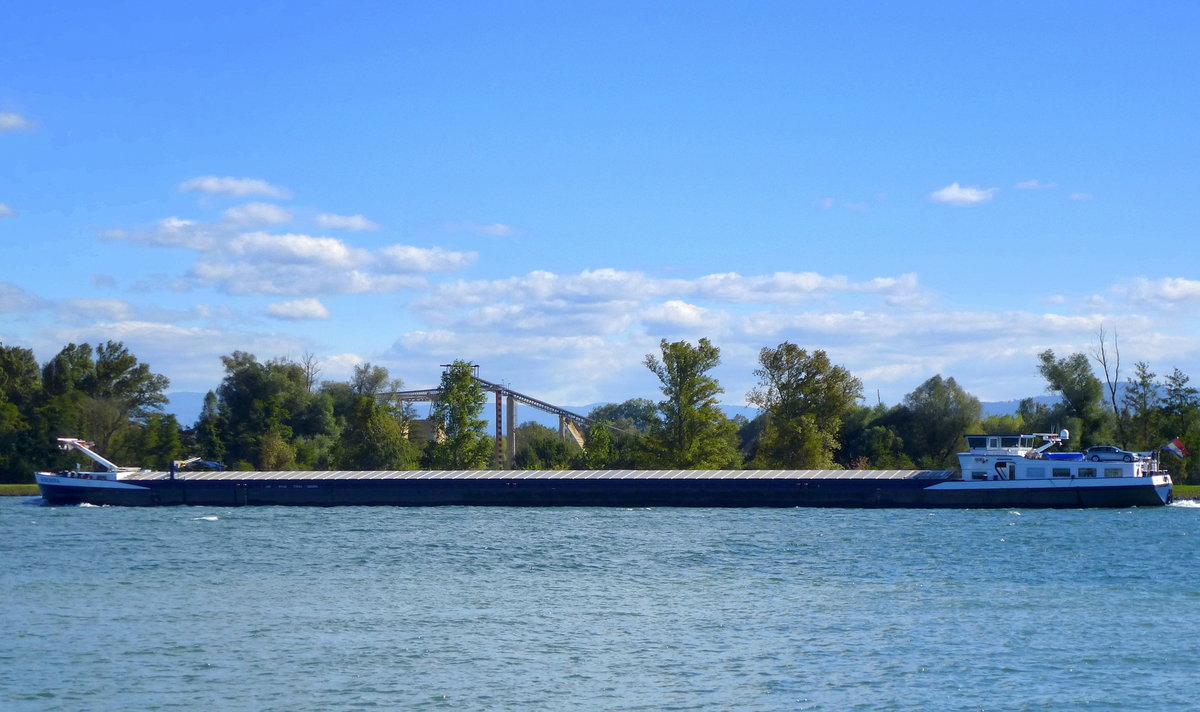 GMS  Werchina , rheinabwrts vor Kehl, Baujahr 2007, L=110m, 3243t, 1597PS, unter Niederlndischer Flagge, Okt.2016