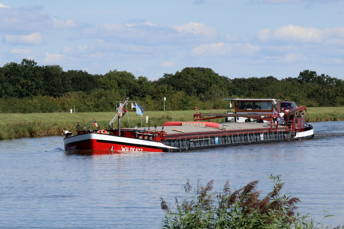 GMS Wildkatz (04008070 , 80 x 8,20m) am 28.08.2017 auf dem Mittellandkanal Höhe km 319 mit Fahrtrichtung Westen unterwegs. 