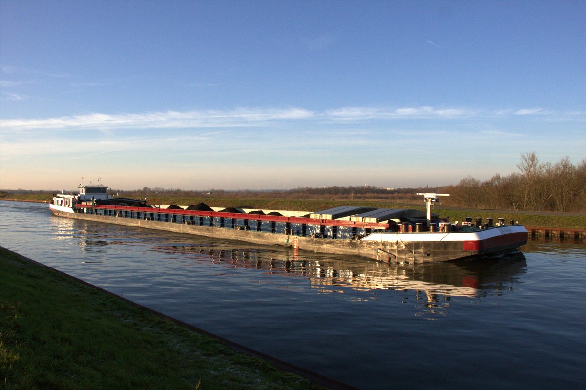 GMS Zerberus (04013780 , 84 x 9,50m) am 05.12.2019 im Mittellandkanal Höhe Barleber See 1 auf Bergfahrt.