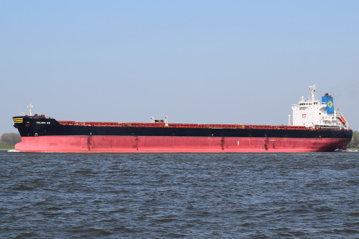 GOLDEN ICE , Bulk Carrier , IMO 9401362 , Baujahr 2008 , 225 × 32.28m , 18.04.2019 , Grünendeich