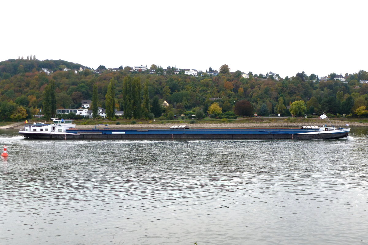 Gütermotorschiff Arcadie, Flagge: Belgien, Talfahrt auf dem Rhein bei Unkel. Aufnahmedatum: 17.10.2016