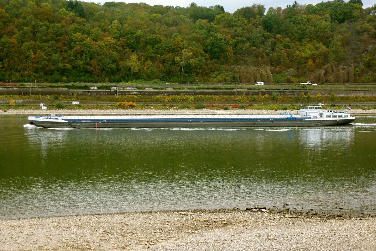 Gütermotorschiff Bernadette, Flagge: Niederlande, Bj: 2002. Bergfahrt auf dem Rhein bei Unkel. Aufnahmedatum: 17.10.2016