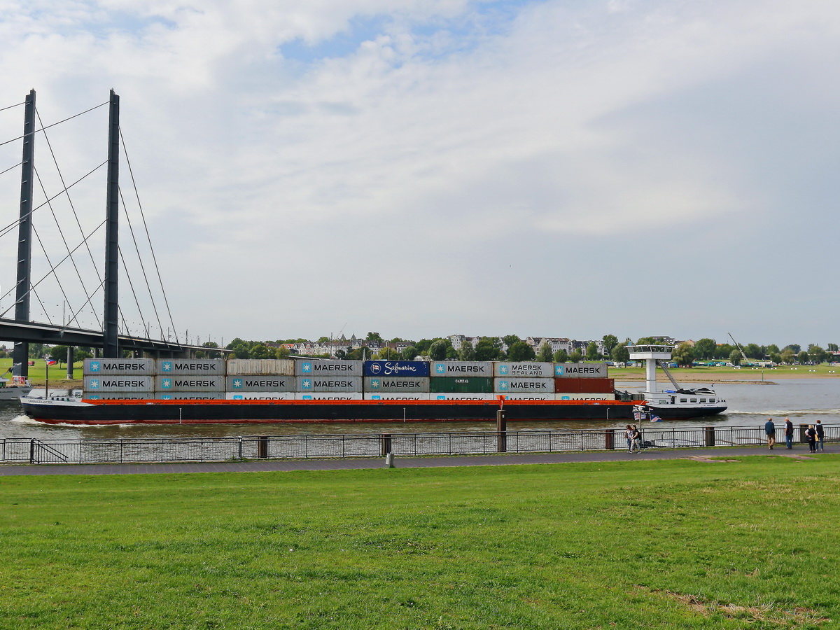 Gütermotorschiff  Carinalexander , mit Flagge der Niederlande auf dem Rhein bei Düsseldorf am 27. Juli 2017 in Höhe der Rheinkniebrücke.