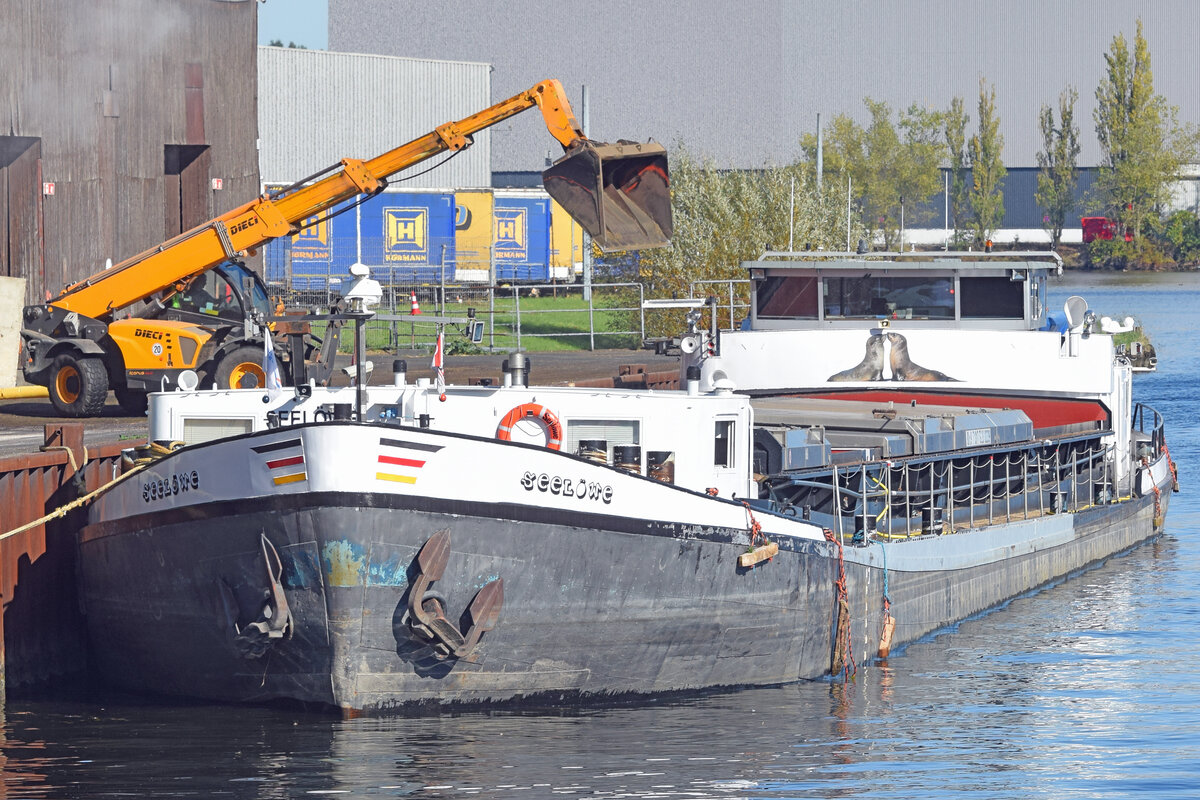 Gütermotorschiff (GMS) SEELÖWE (ENI:02323399) am 07.10.2021 im Hafen von Lübeck