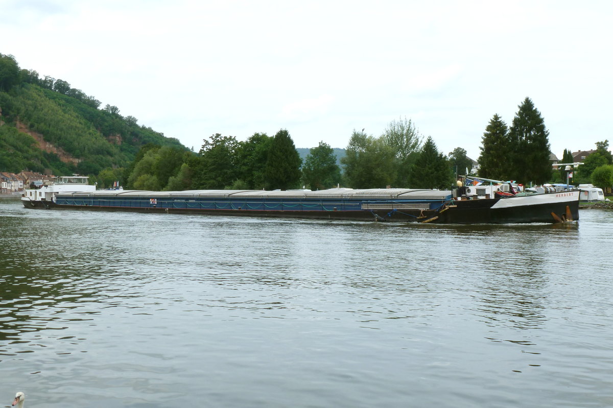 Gütermotorschiff 'HERBERT' (ENI 04400250) auf Bergfahrt bei Miltenberg/Main. Aufnahmedatum: 17.08.2017.