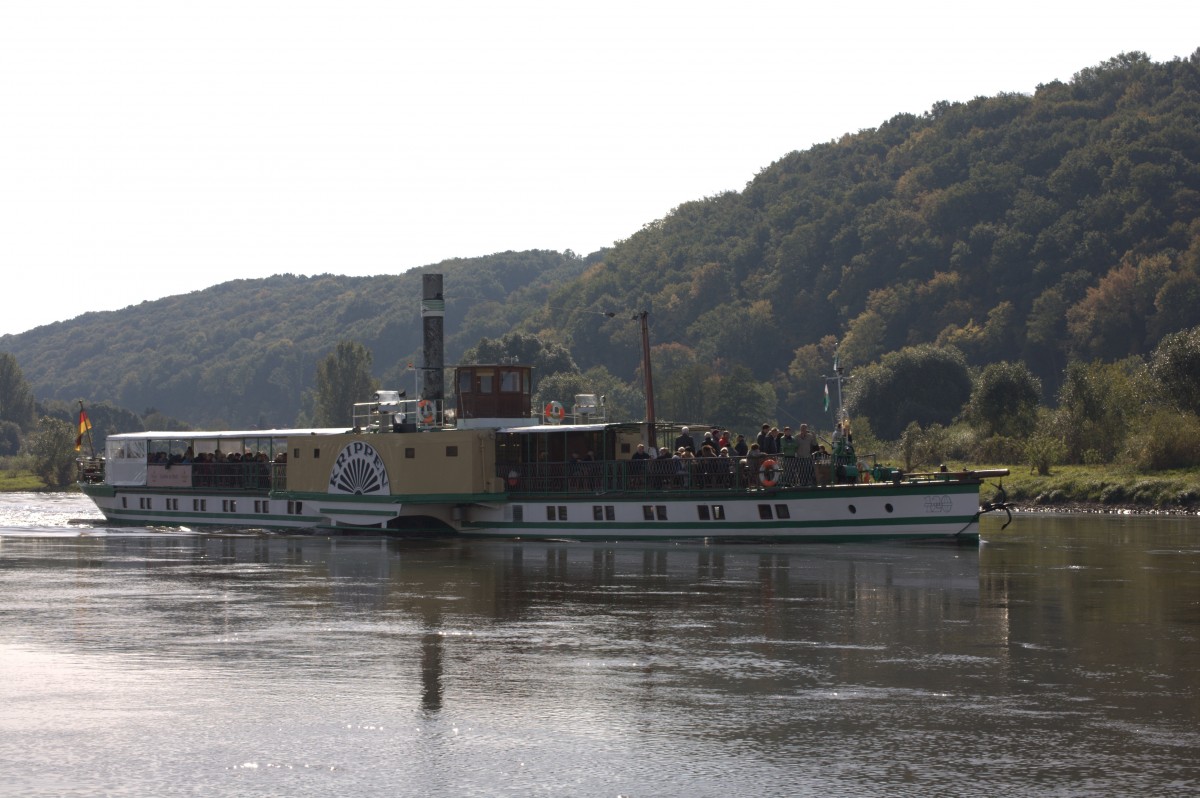 Gut bestzt  der Seitenradampfer Krippen auf dem Wege nach Diesbar Seulitz auf der Hhe von Brockwitz.05.10.2013  10.29 Uhr.