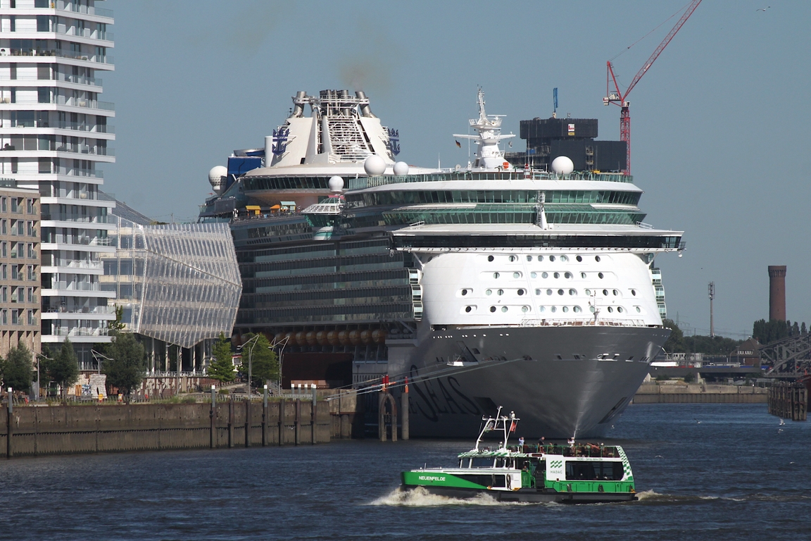 Hadag Hafenf�hre NEUENFELDE (MMSI 211437190); Eigner/Betreiber: Hadag; Datum: 23.06.2026; Aufnahmeort: Elbe/Hafen Hamburg, Deutschland. Im Hintergrund das Kreuzfahrtschiff LIBERTY OF THE SEAS (IMO 9330032) am  Kreuzfahrtterminal Hafencity.