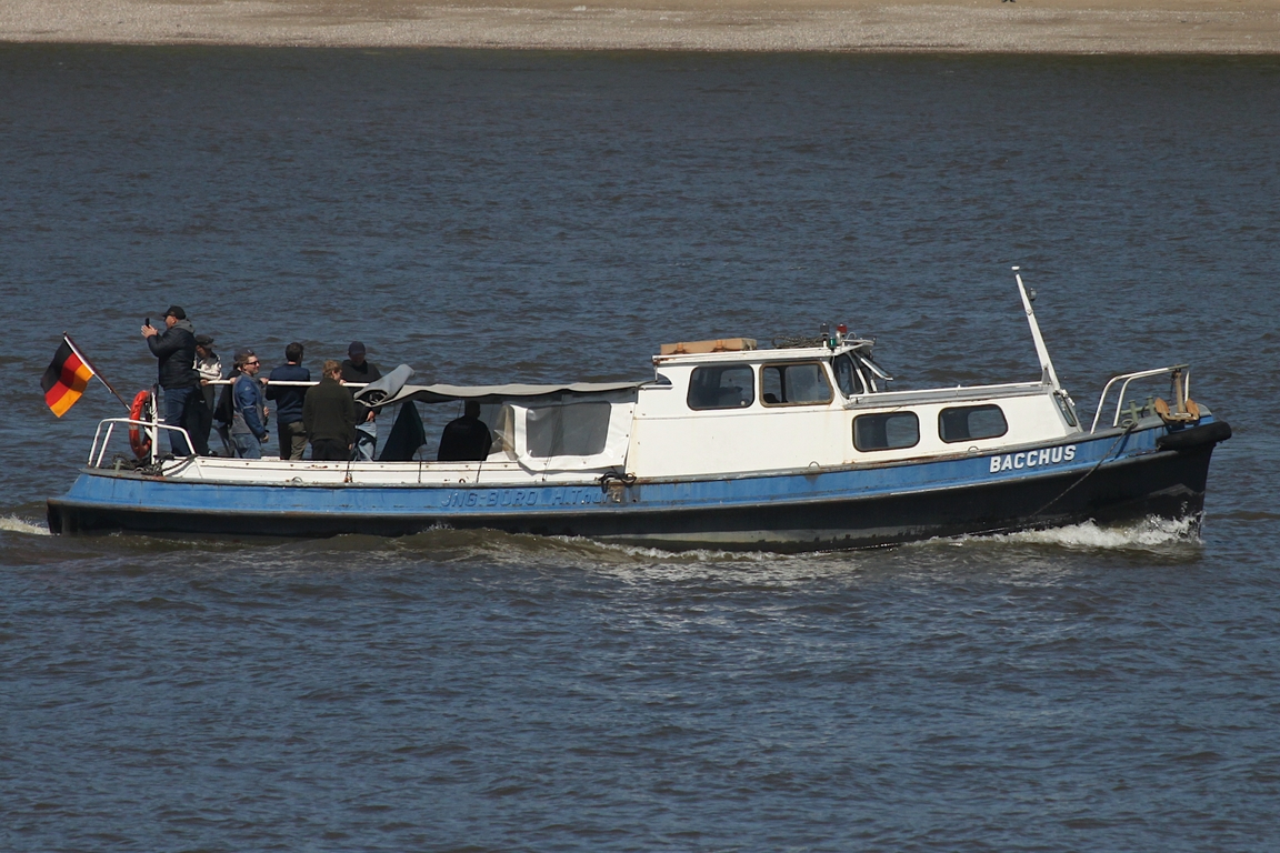 Hafenbarkasse BACCHUS (ENI/MMSI unbekannt); Datum: 08.05.2026; Aufnahmeort: Elbe/Hafen Hamburg, Deutschland. Das Bild entstand anl�sslich der Einlaufparade zum 837. Hafengeburtstag.