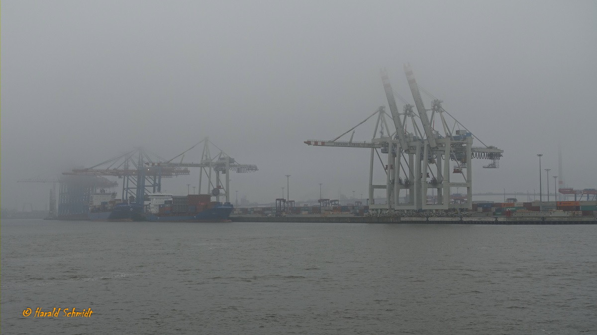 Hamburg am 11.11.2020: Elbe, Blick auf das im Nebel liegende Container Terminal Tollerort /