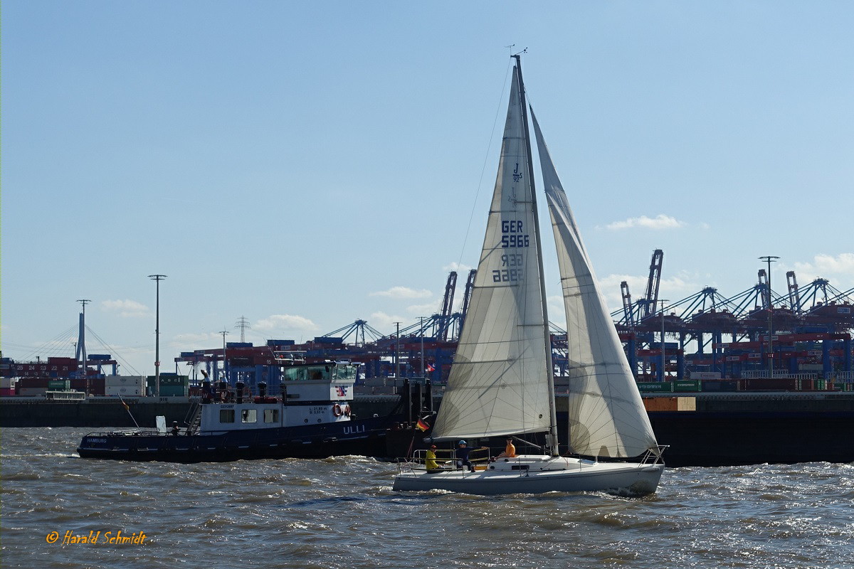 Hamburg am 15.9.2023: 1 unbekannte Segeljacht im Hafengebiet elbabwärts fahrend, Elbe Höhe Neumühlen  /