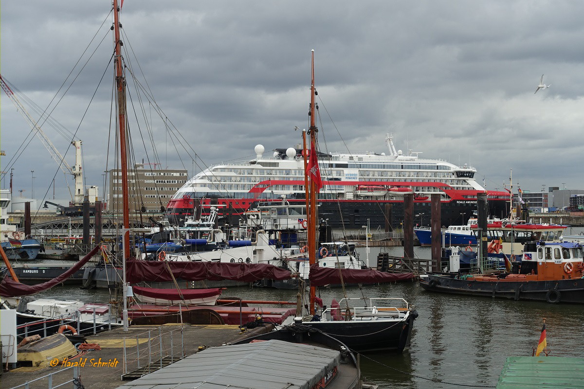 Hamburg am 16.10.2021: Blick vom Bremer Kai (Hafenmuseum) über den Hansahafen, im Vordergrund Museumsschiffe in der Mitte Arbeitsschiffe und im Hintergrund das norwegische Kreuzfahrtschiff ROALD AMUNDSEN der Hurtigruten auf seine nächste Reise wartend  / 