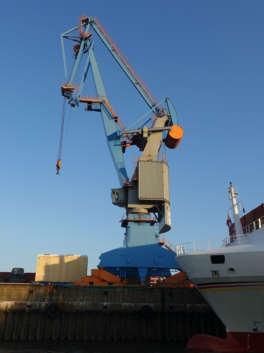 Hamburg am 26.2.2019: Verladekran am Kamerunkai im Steinwerder Hafen /