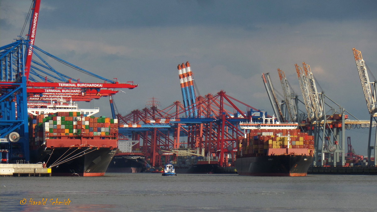 Hamburg am 4.8.2017: Waltershofer Hafen, links Burchardkai, HHLA Container Terminal Burchardkai (CTB), rechts Predöhlkai, Eurogate Container Terminal /