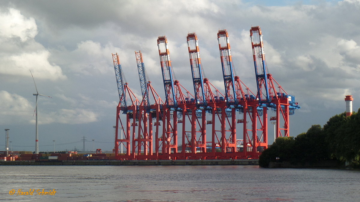 Hamburg am 5.8.2016: Elbe, Containerbrücken im Waltershofer Hafen /