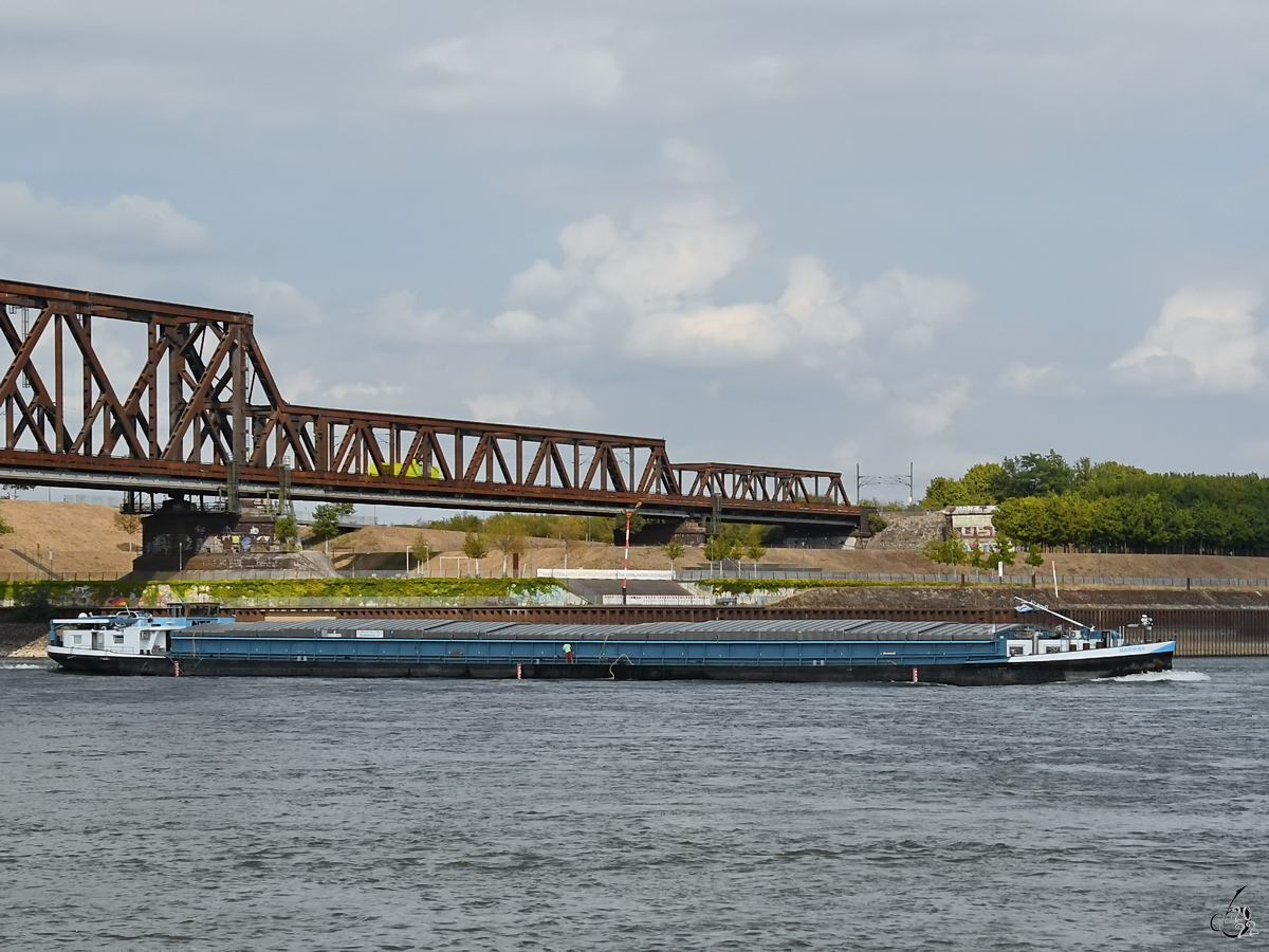 Im August 2022 war auf dem Rhein bei Duisburg das Gütermotorschiff MARIANA (ENI: 04401410) zu sehen.