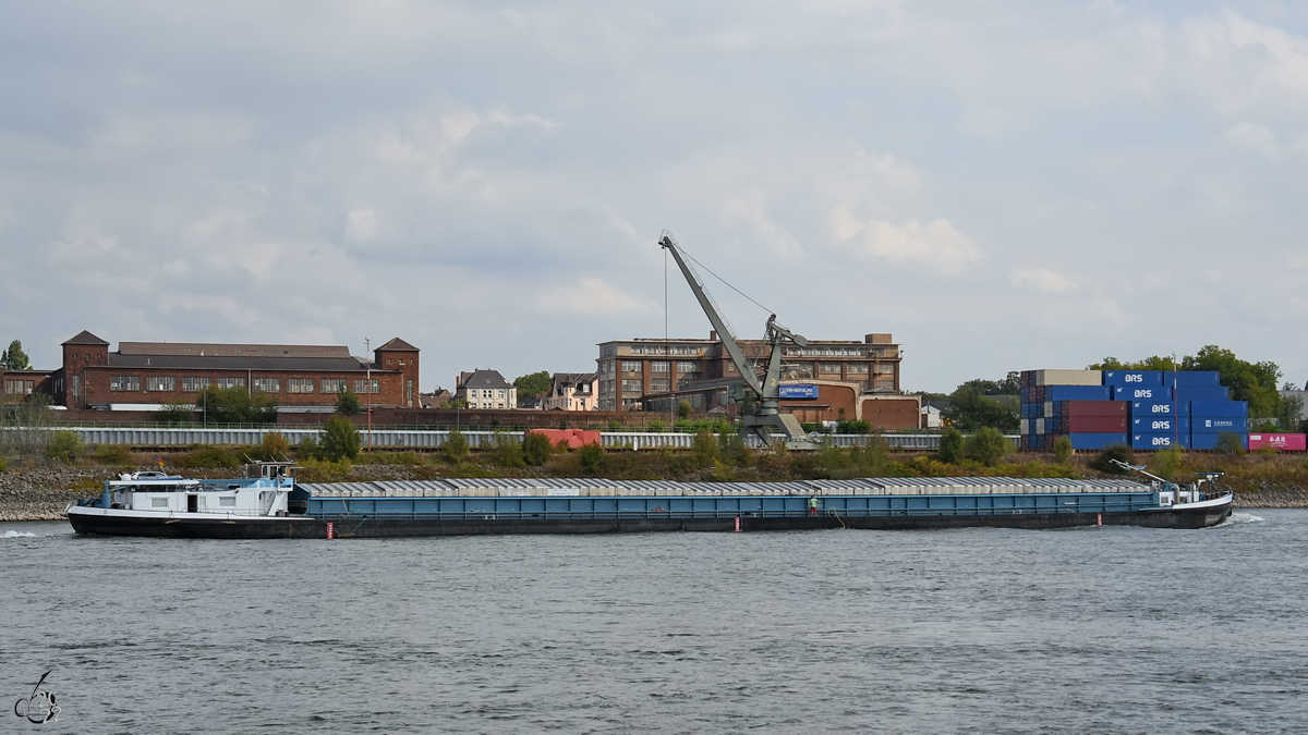 Im August 2022 war auf dem Rhein bei Duisburg das Gütermotorschiff MARIANA (ENI: 04401410) zu sehen.