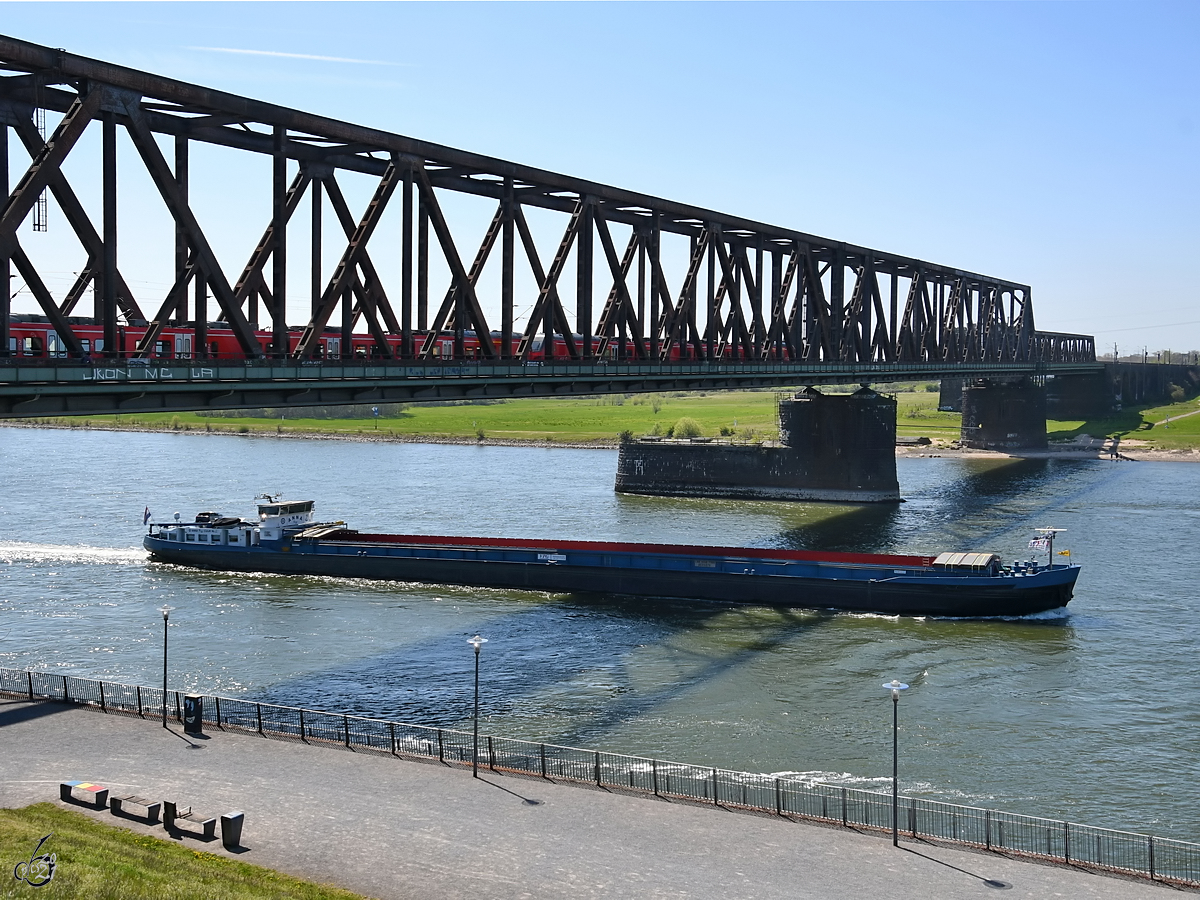 Im Bild das Gütermotorschiff ANNA (ENI: 02319270), welches Mitte April 2021 auf dem Rhein unterwegs war.