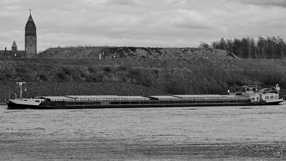 Im Bild das Gütermotorschiff BON VOYAGE (ENI: 02301455), welches Anfang Mai 2021 auf dem Rhein unterwegs war.