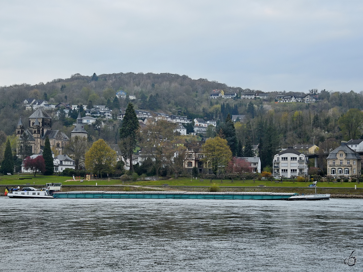 Im Bild das Gütermotorschiff CENTAURUS (ENI: 02326975), welches hier Anfang April 2021 auf dem Rhein Remagen passiert.