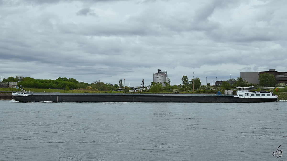 Im Bild das Gütermotorschiff CORTINA (ENI: 06004273), welches Anfang Mai 2021 auf dem Rhein unterwegs war.