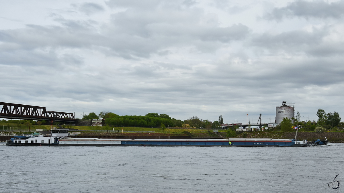 Im Bild das Gütermotorschiff IMPALA (ENI: 03110571), welches Anfang Mai 2021 auf dem Rhein unterwegs war.