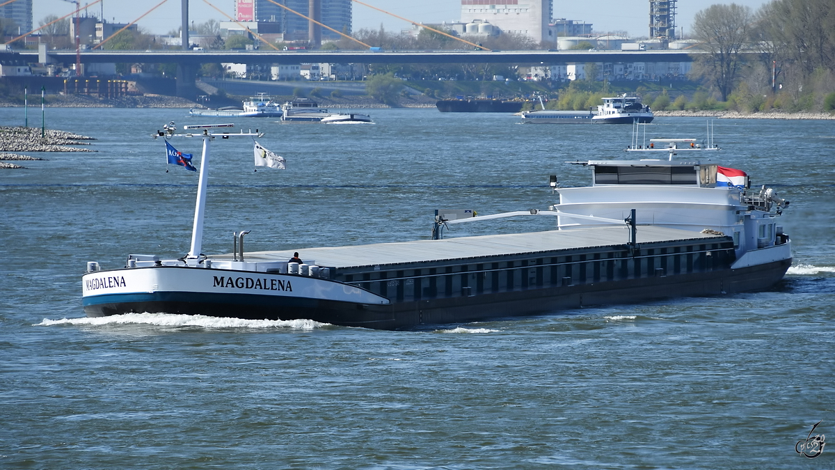 Im Bild das Gütermotorschiff MAGDALENA (ENI: 04017040), welches Mitte April 2021 auf dem Rhein unterwegs war.