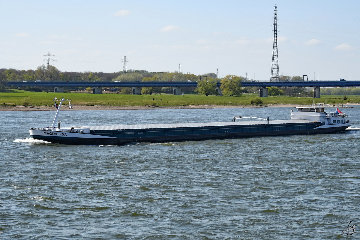 Im Bild das Gütermotorschiff MAGDALENA (ENI: 04017040), welches Mitte April 2021 auf dem Rhein unterwegs war.