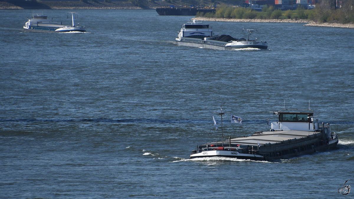 Im Bild das Gütermotorschiff NERO (ENI: 04001640), welches Mitte April 2021 auf dem Rhein unterwegs war.