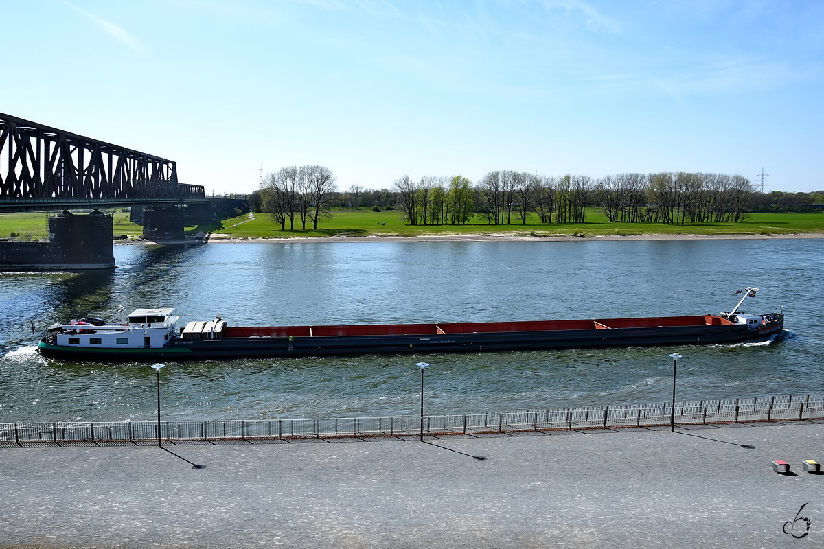 Im Bild das Gütermotorschiff Re-Intrade (ENI: 02310327), welches Mitte April 2021 auf dem Rhein unterwegs war.