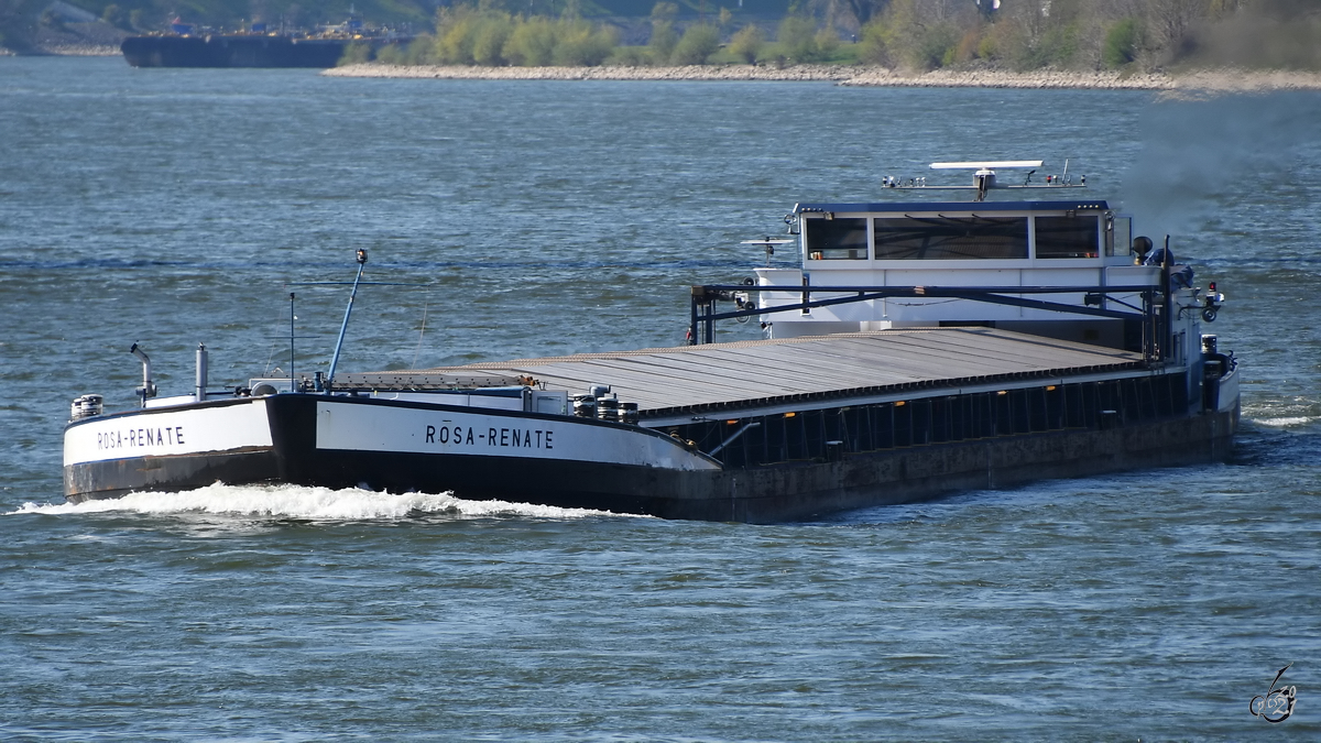 Im Bild das Gütermotorschiff ROSA-RENATE (ENI: 04606620), welches Mitte April 2021 auf dem Rhein unterwegs war.