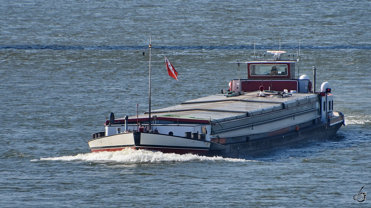 Im Bild das Gütermotorschiff TARA (ENI: 04018760), welches Anfang April 2021 auf dem Rhein unterwegs war.