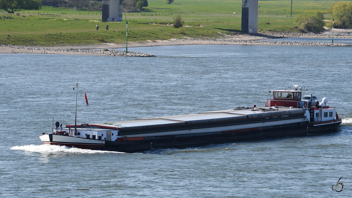Im Bild das Gütermotorschiff TARA (ENI: 02315007), welches Mitte April 2021 auf dem Rhein unterwegs war.