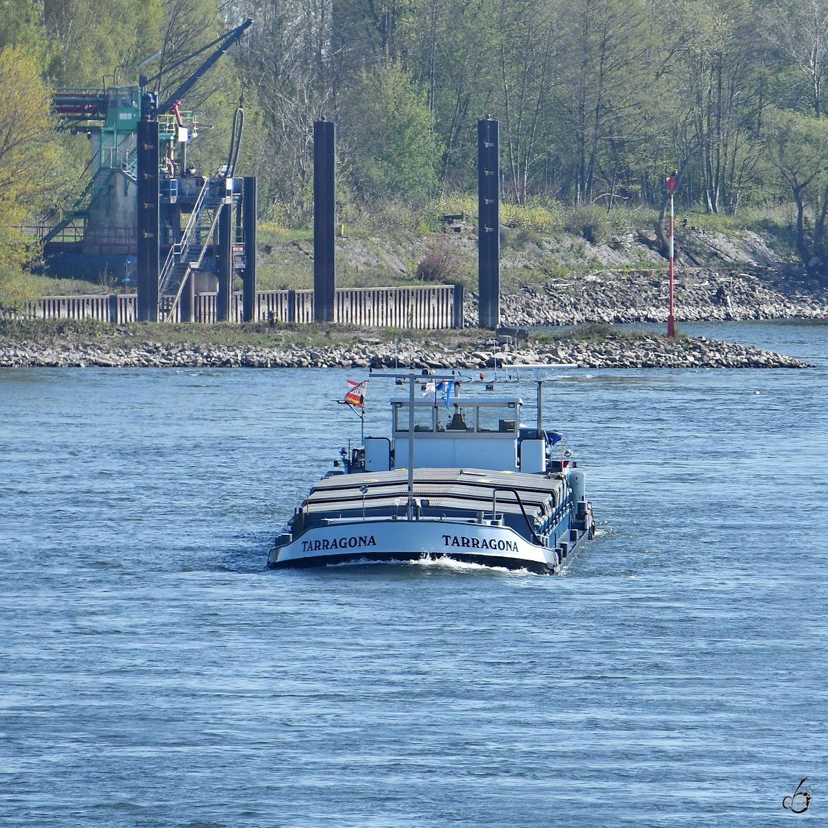 Im Bild das Gütermotorschiff TARRAGONA (ENI: 06003477), welches Anfang April 2021 auf dem Rhein unterwegs war.