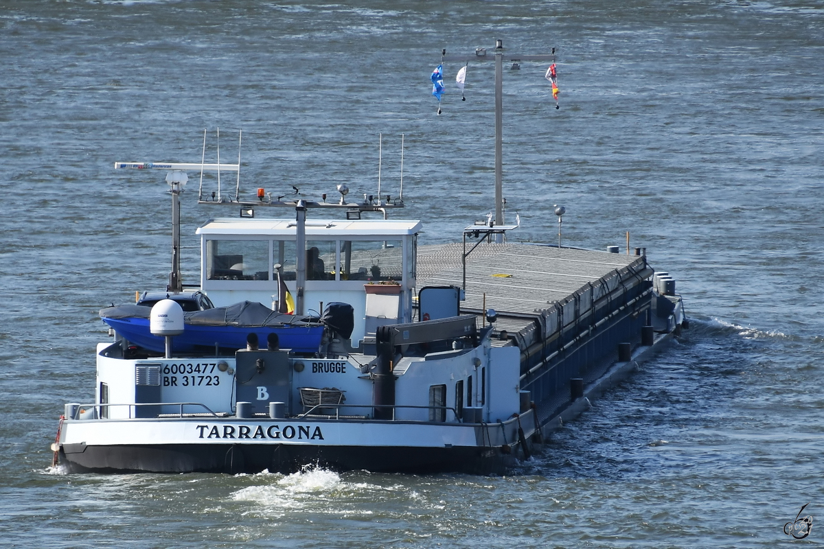 Im Bild das Gütermotorschiff TARRAGONA (ENI: 06003477), welches Anfang April 2021 auf dem Rhein unterwegs war.