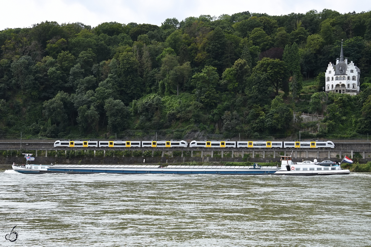 Im Bild das Gütermotorschiff VARIATIE (ENI: 03110605), welches Anfang August 2021 auf dem Rhein bei Remagen unterwegs war.